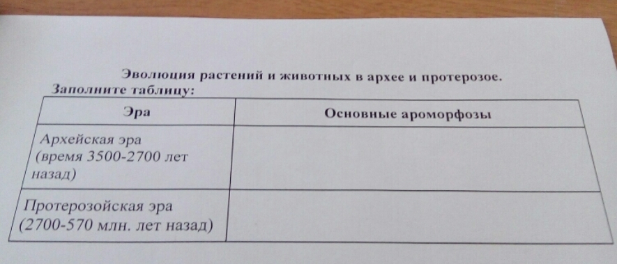 Заполните в тетради таблицу основные идеи. Эволюция растений и животных в архее и протерозое заполните таблицу. Таблица Эволюция растений и животных в архее и протерозое. Эволюция растений и животных в архее и протерозое. Развитие жизни в архее и протерозое таблица.