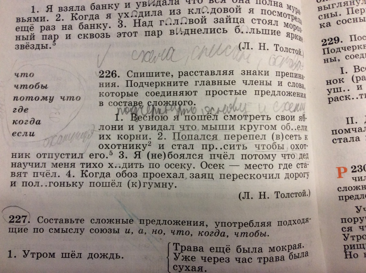 В последнем предложении подчеркни основу. Русский язык очень богат (подчеркнуть основы). По рельсам едет трамвай подчеркнуть основу предложения. У кукушонкаигрудкаипестренткая основу подчеркнуть.