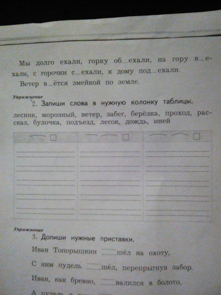 Запишите в две колонки. Запиши слова в нужную колонку. Запиши слова в нужную колонку таблицы. Запиши слова в нужную колонку таблицы Лесник. Запиши слова в нужную колонку Лесник.