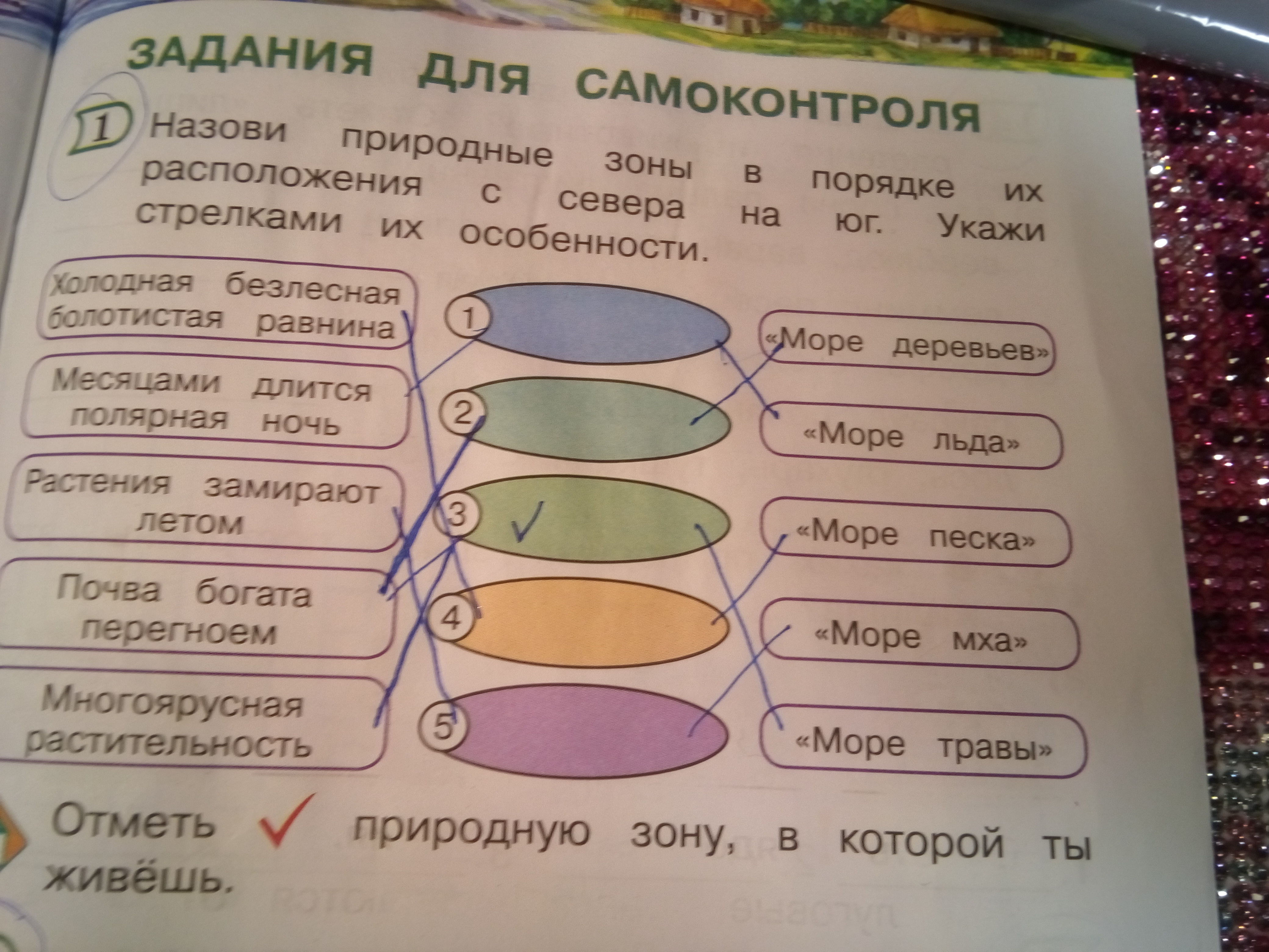 Назови номера картинок в том порядке в котором происходят события в сказке