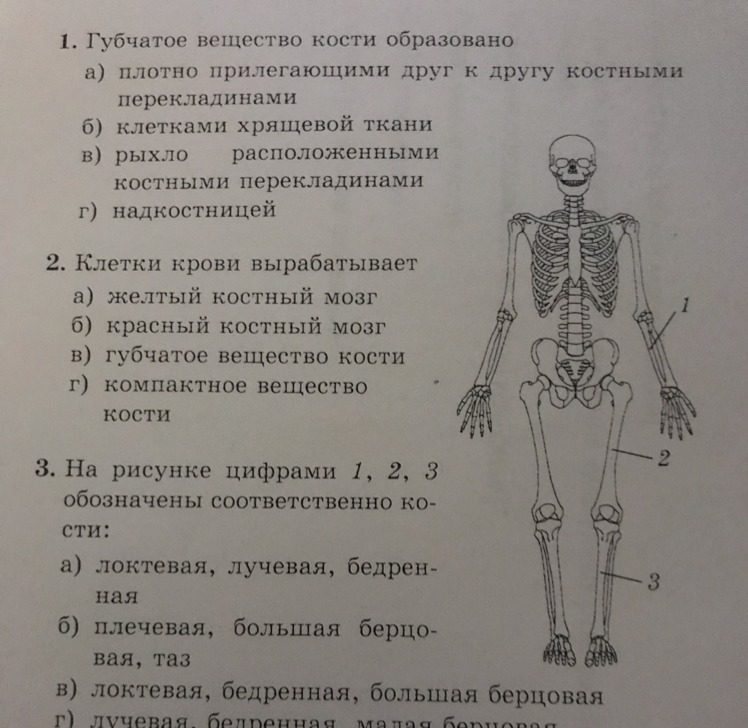 Ответы на вопросы по биологии 8