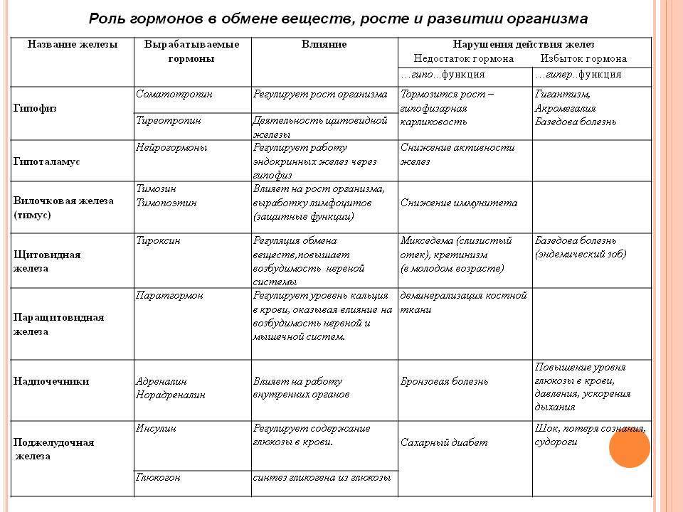 Гистология юугму план занятий