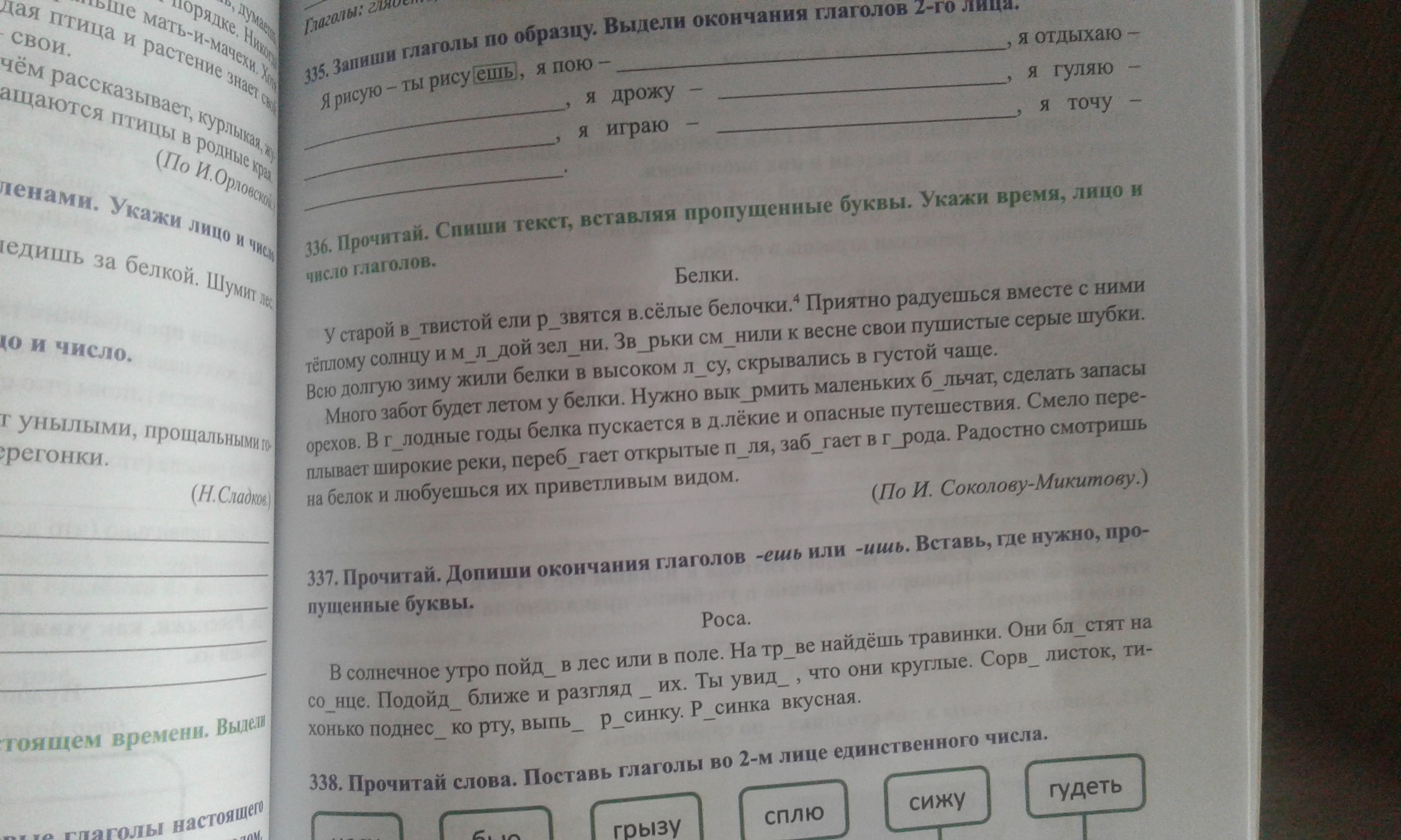 Вставь буквы допиши окончания глаголов белка и медведь. Время лицо и число глаголов.