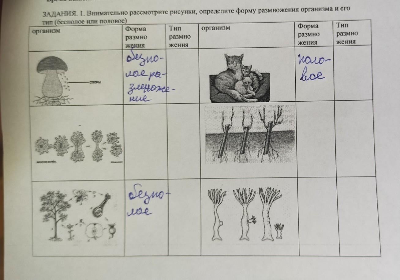 Рассмотри рисунок и определи значение м