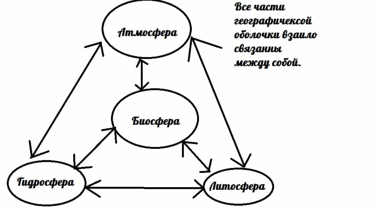 К примерам взаимодействия биосферы. Схема связь биосферы с другими оболочками земли. Нарисуйте схему связь биосферы с другими оболочками земли. Взаимосвязь биосферы с другими оболочками земли схема. Схема строения географической оболочки.