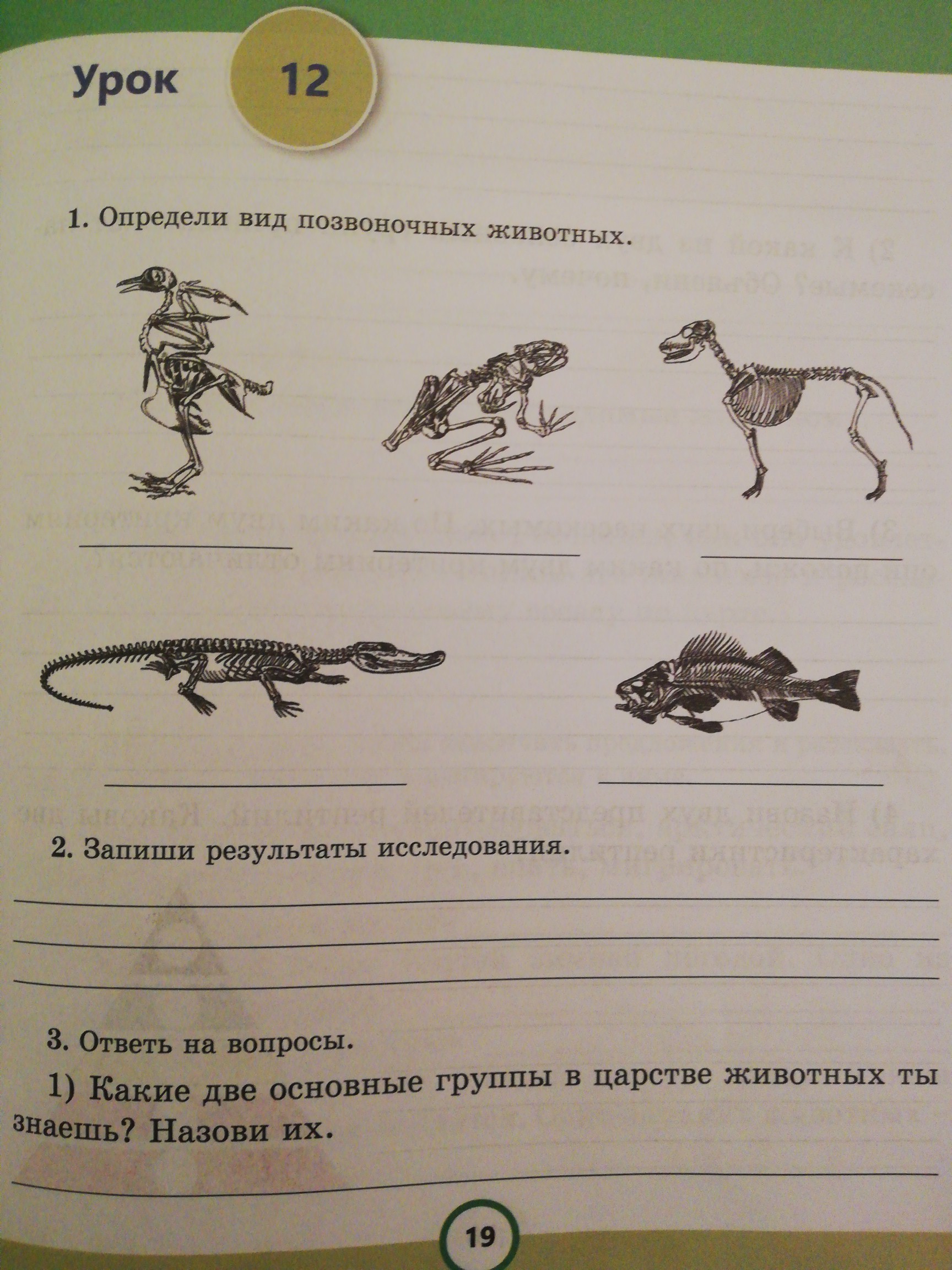 Контрольная по биологии 8 класс позвоночные животные