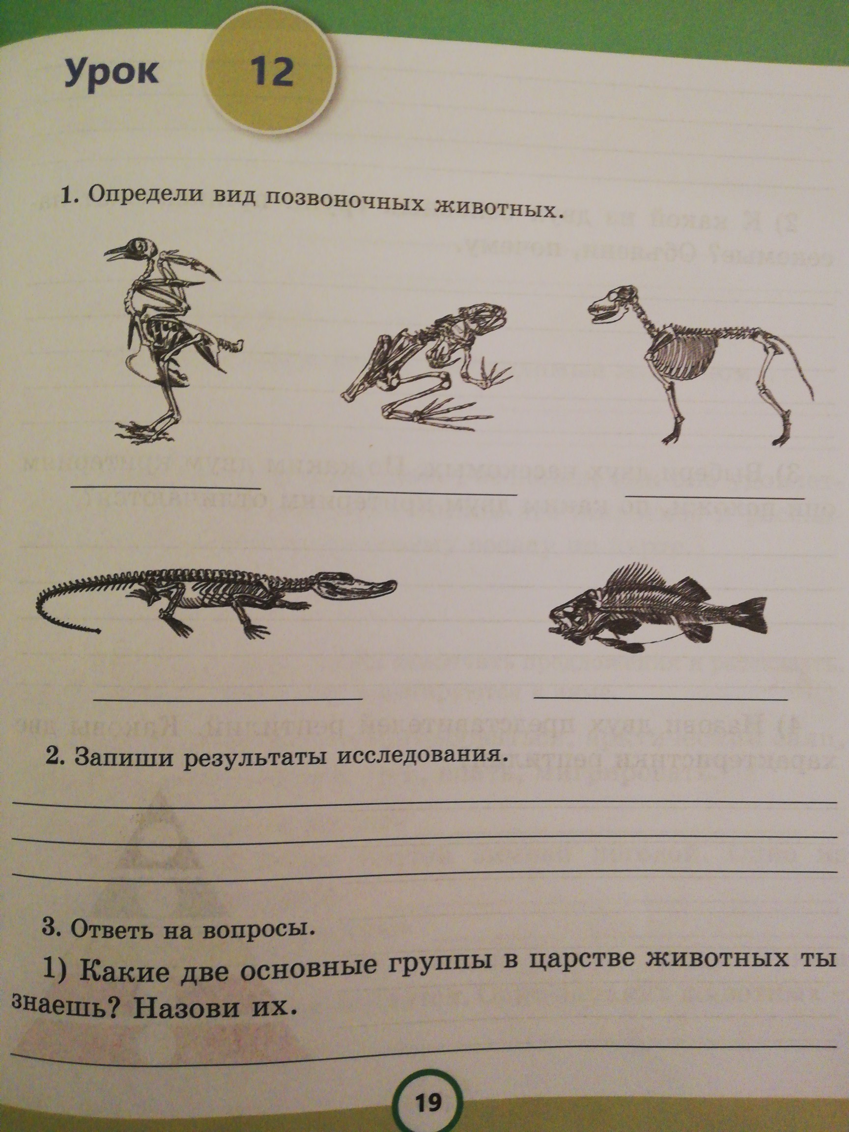 Определили позвоночных животных. Результаты исследования животных. Определи вид позвоночных животных. Поняла класс позвоночных животных. 2 Класса позвоночных животных.