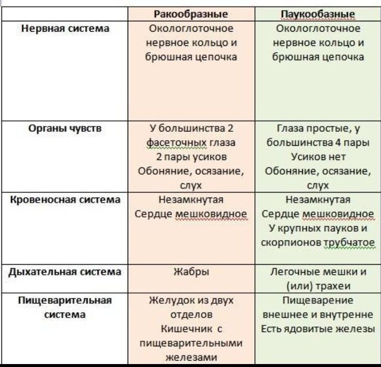 Таблица класс ракообразные 7 класс. Таблица ракообразные паукообразные насекомые. Ракообразные таблица. Признаки класса ракообразные. Таблица по внутреннему строению ракообразных.