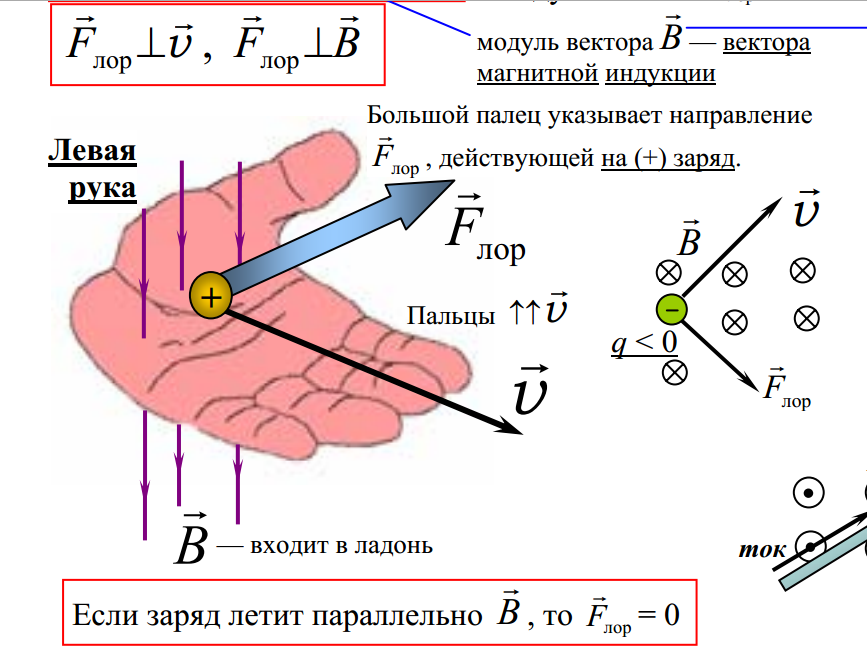 Показать направление силы лоренца на рисунке