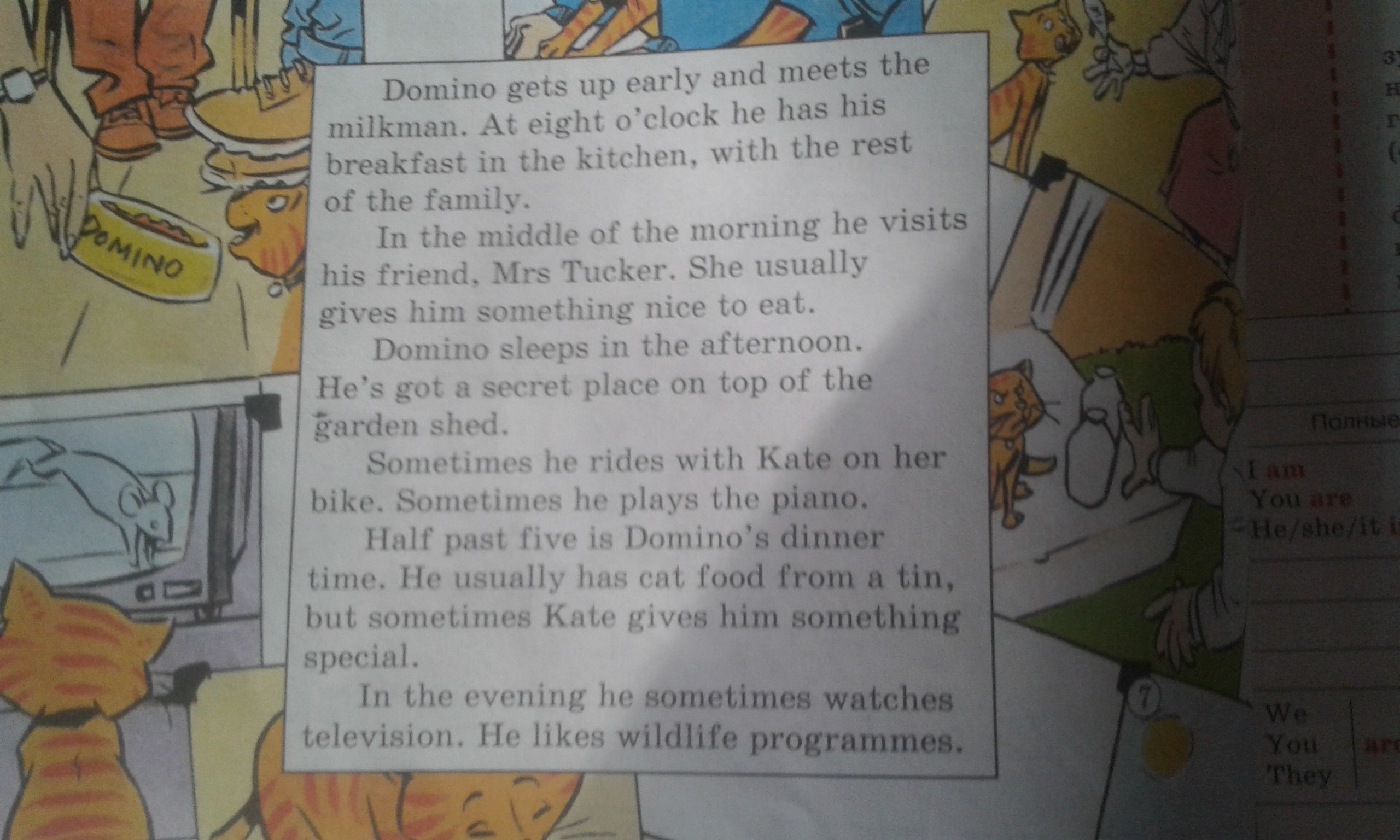 He has his. Domino gets up early and meets the. Перевод at eight o'Clock he has his Breakfast in the Kitchen with the rest of the Family. Domino gets up and meets the Milkman. Domino gets up early and meets the Milkman перевод.