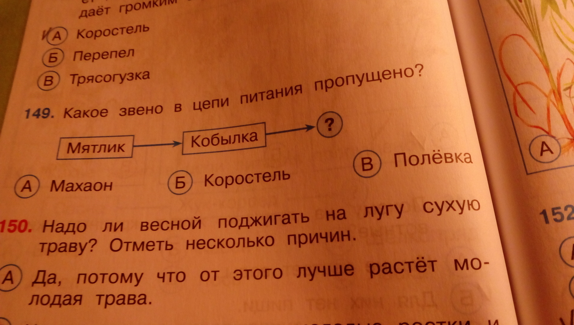 Вставь в цепь. Мятлик кобылка цепь питания. Мятлик кобылка Коростель цепь питания. Мятлик полевка цепь питания. Вставь пропущенное звено в цепи питания мятлик кобылка.