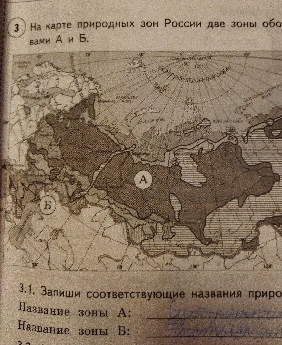 Карта впр зоны окружающий мир ответы россии. Карта природных зон России. Карта России две природные зоны. На карте природных зон России две зоны. На карте природных зон России 2 зоны обозначены буквами а и б.