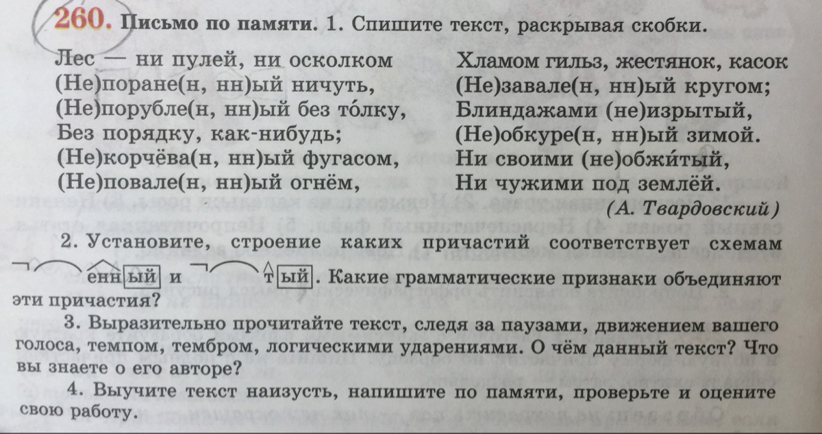 Наизусть как пишется. Спиши текст раскрывая скобки в лесу под деревьями.