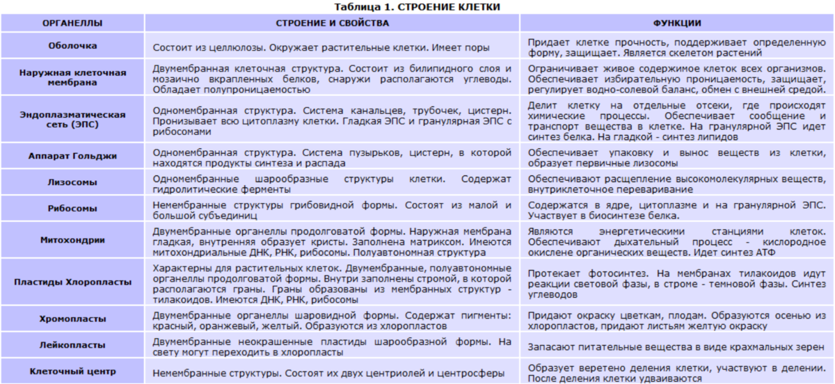 Основные классы клеток. Строение органоидов клетки таблица. Органоиды строение и функции таблица. Таблица органоиды клетки и их функции и строение. Строение клетки органеллы строение функции таблица.