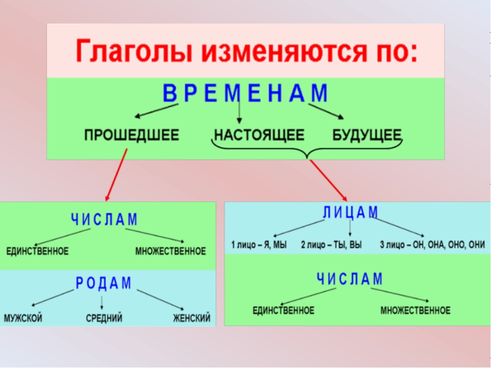 Изменение глаголов прошедшего времени по родам картинки