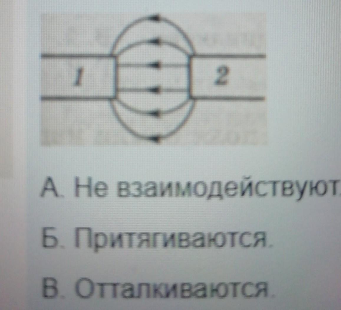 По рисунку определите будут ли взаимодействовать два плоских магнита не взаимодействуют