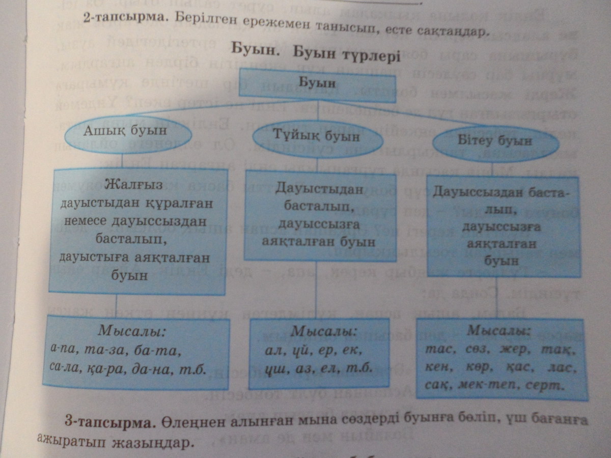 члены перевод на казахский язык фото 53