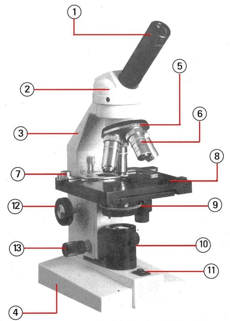 Строение микроскопа с подписями. Монокулярный микроскоп строение. Микроскоп Биомед 2 части микроскопа строение. Световой микроскоп строение конденсор. Строение светового микроскопа схема.