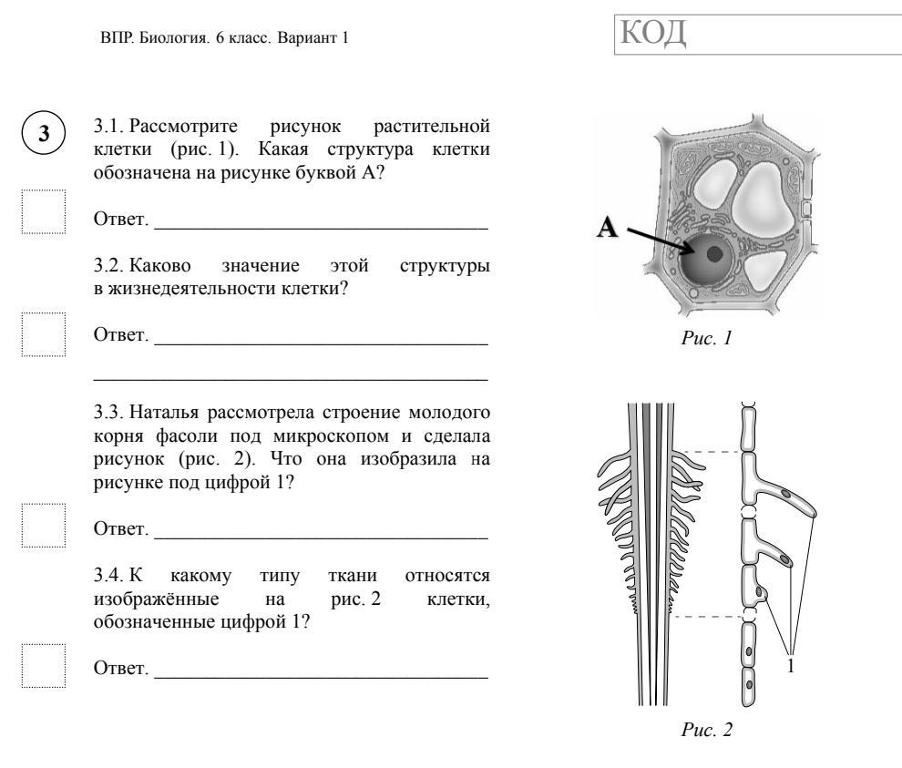 Рассмотрите рисунок клетки буква а