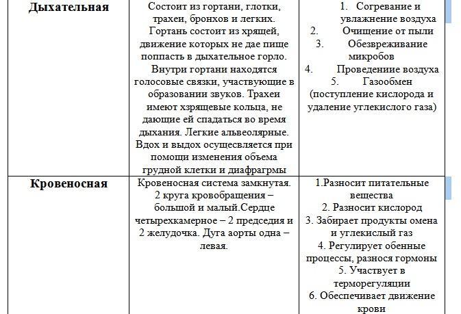 Система органов таблица 7 класс. Строение и функции систем органов млекопитающих таблица 7 класс. Таблица система органов млекопитающих их строение и функции. Класс млекопитающие таблица система органов строение и функции. Внутреннее строение млекопитающих 7 класс таблица система органов.