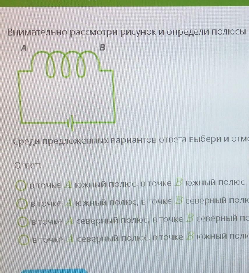 Выберите и отметьте правильные варианты ответов