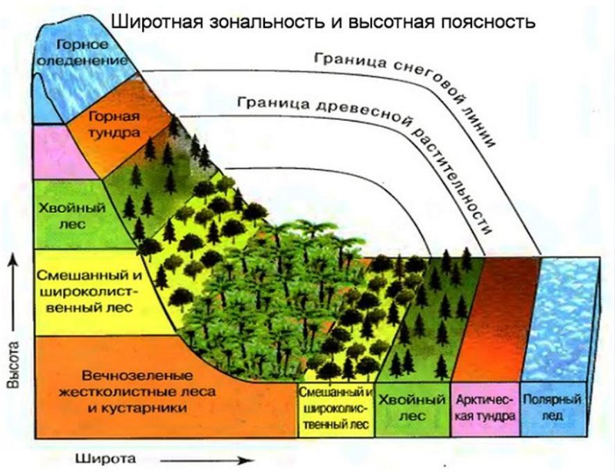 Верно ли следующее утверждение африка это образец проявления широтной зональности