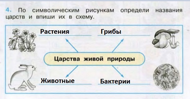 Дай единичные имена кораблям и впиши их под рисунками опиши в таблицах