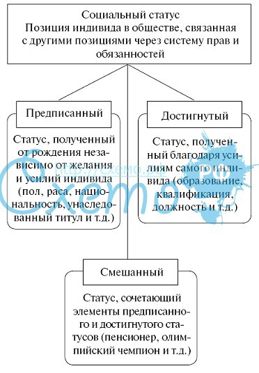 Нарисуйте схему виды социальных статусов и приведите примеры статусов каждого вида