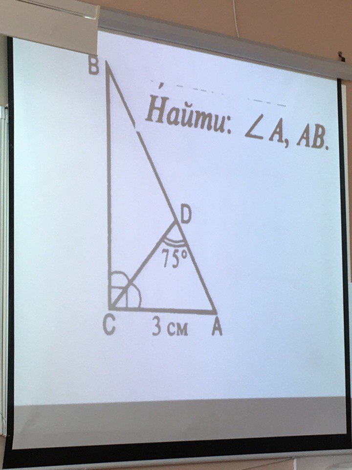 Геометрия 99