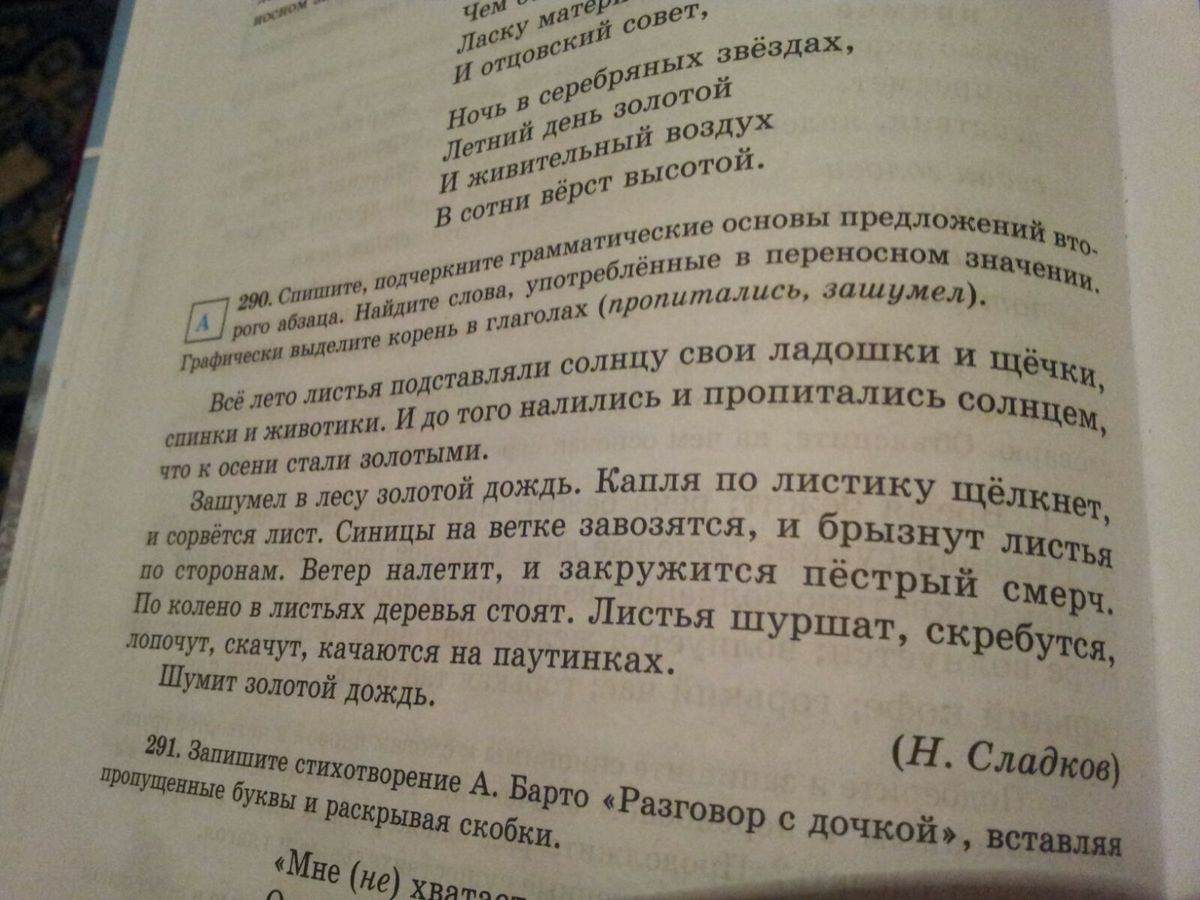 зашумел в лесу золотой дождь заменить слово золотой на однородные члены фото 9