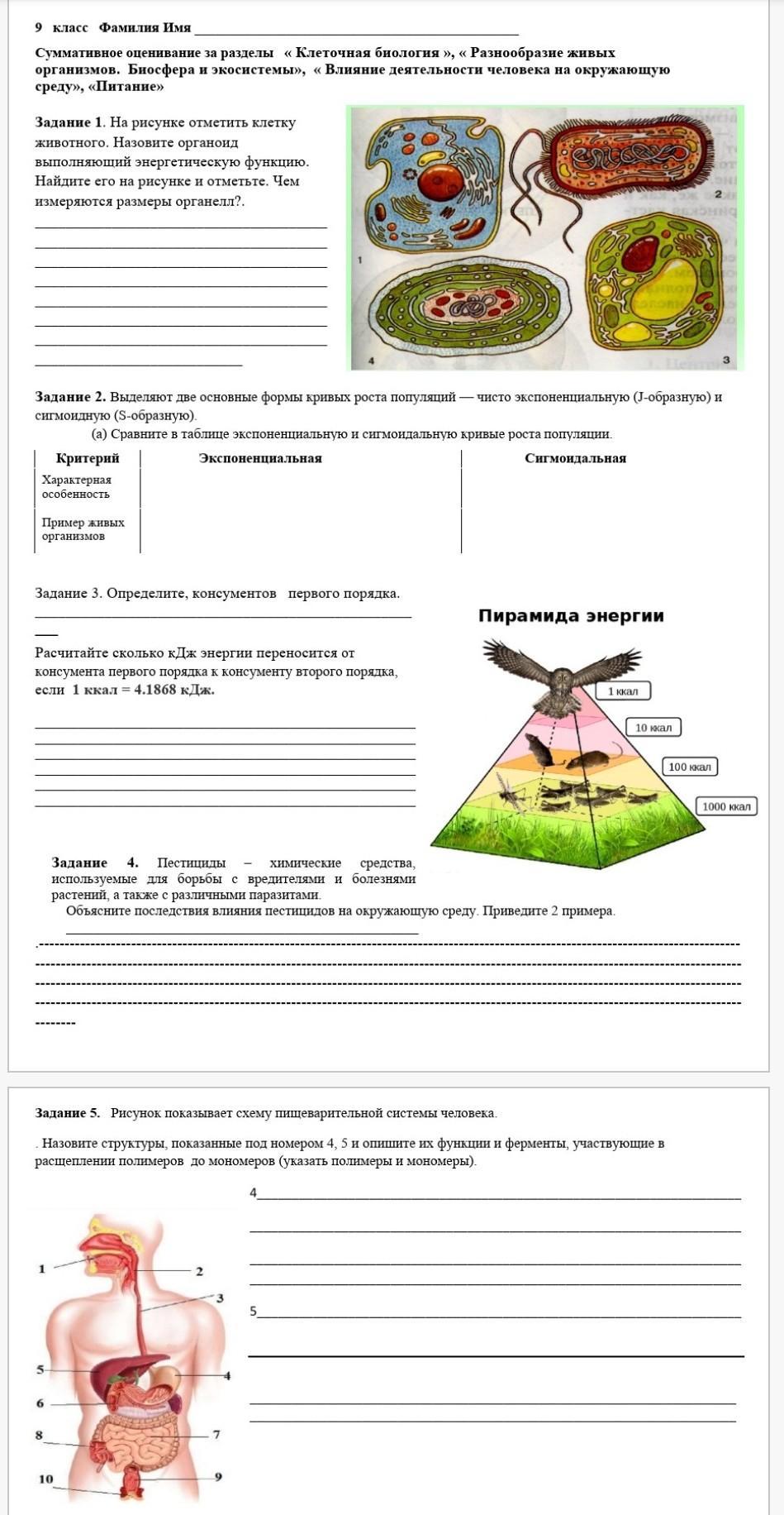 Сор по биологии. Темы по биологии 9 класс. Задания по биологии 9 класс. Вопросы по биологии 9 класс. Правила по биологии 9 класс.