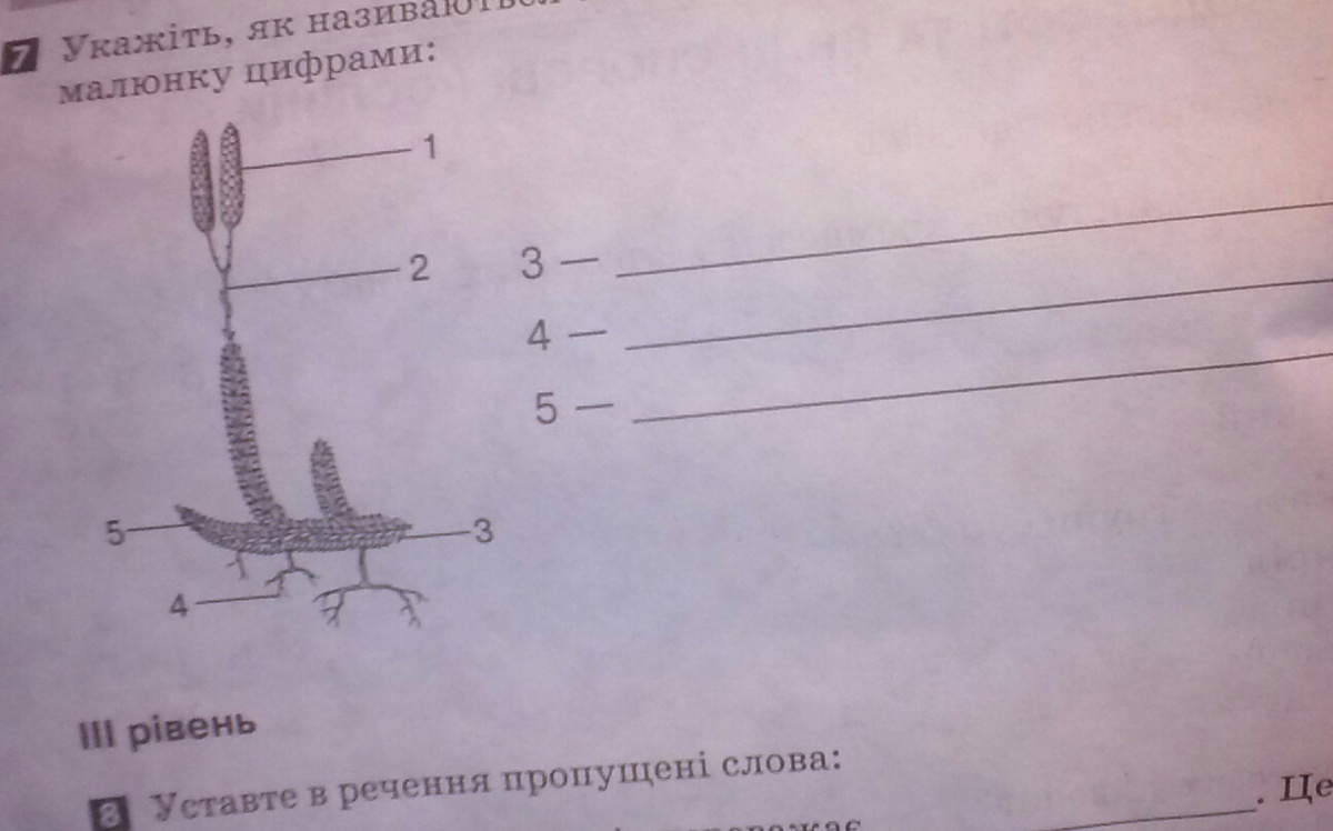 Рассмотрите рисунок ответьте на вопросы ниже назовите компоненты