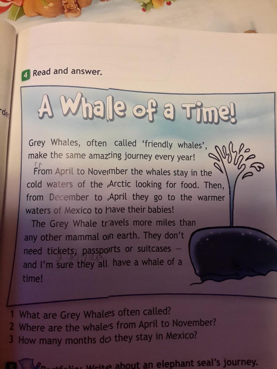 Grey whales often. Grey Whales often Called. Grey Whales перевод на русский язык. They don't need tickets Passports or Suitcases and i'm sure they all have a Whale of a time.