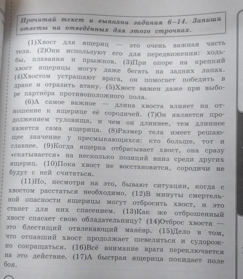 Запишите план текста из трех пунктов