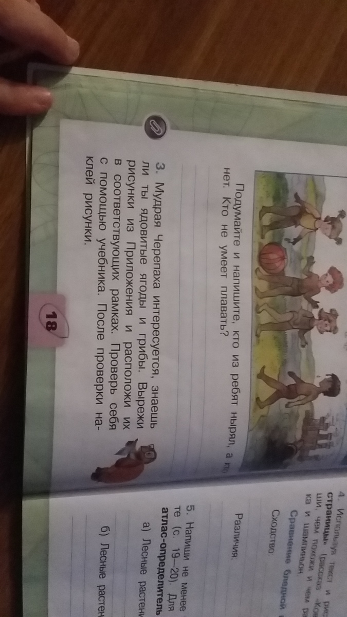 Подумайте и напишите кто из ребят нырял. Окружающий мир 2 класс рабочая тетрадь. На воде и в лесу окружающий мир рабочая тетрадь. Подумайте и напишите кто из ребят нырял. Вот так искупались воскликнул.