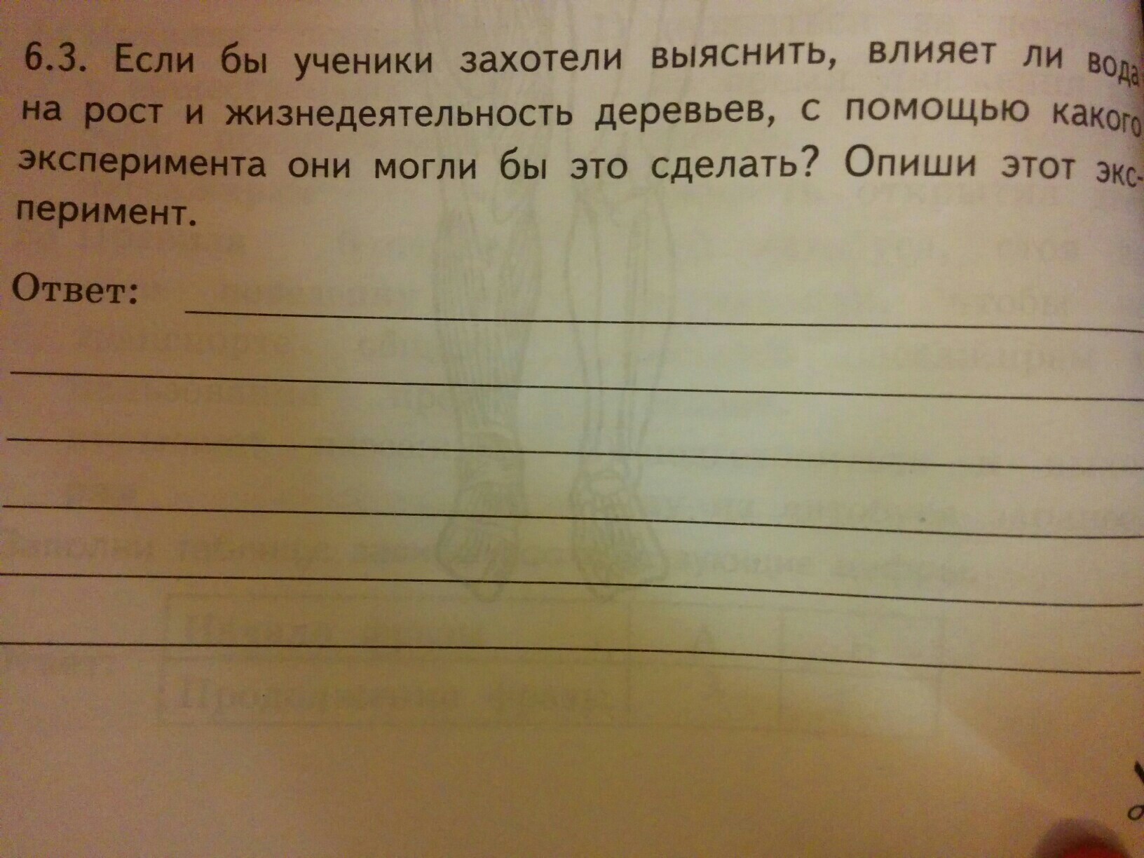 Если бы ученики захотели. Если бы ученики захотели выяснить. Если бы ученики захотели выяснить как влияет. Это сделать опиши этот опыт. С помощью учеников захотели выяснить.