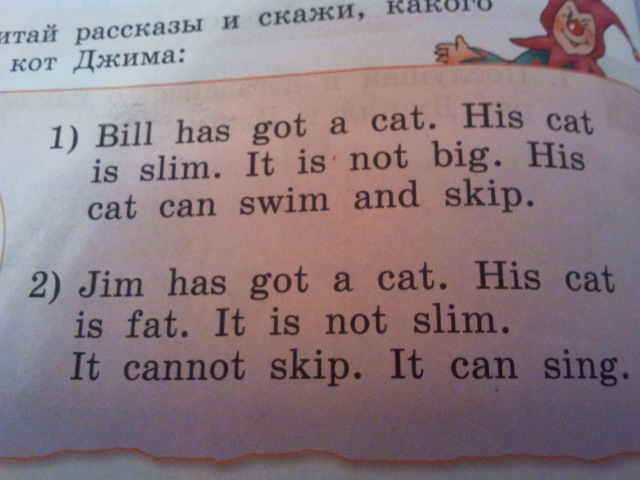Got a cat перевод на русский. Bill на британский язык. Джим на английском. His Cat перевод. Skip перевод.