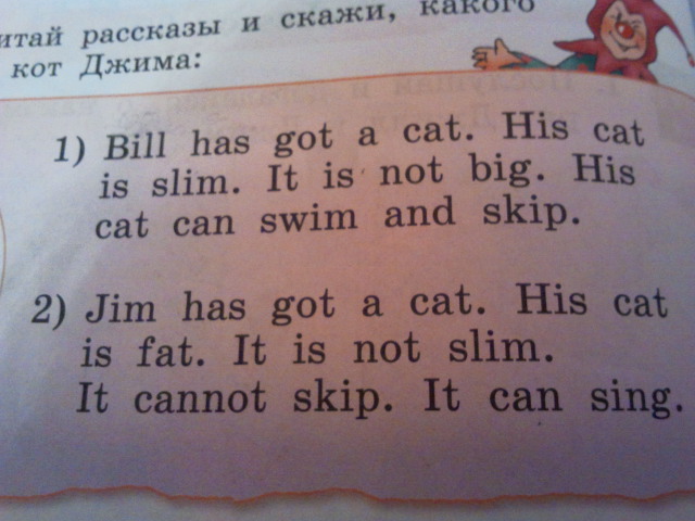 A rabbit can перевод на русский. Bill на британский язык. Jim has got a Cat перевод. Джим на английском. Skip перевод с английского на русский.