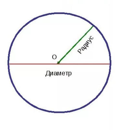 Диа метр. Половина диаметра. Диаметр. Радиус это половина диаметра. Радиус это пол диаметра окружности.