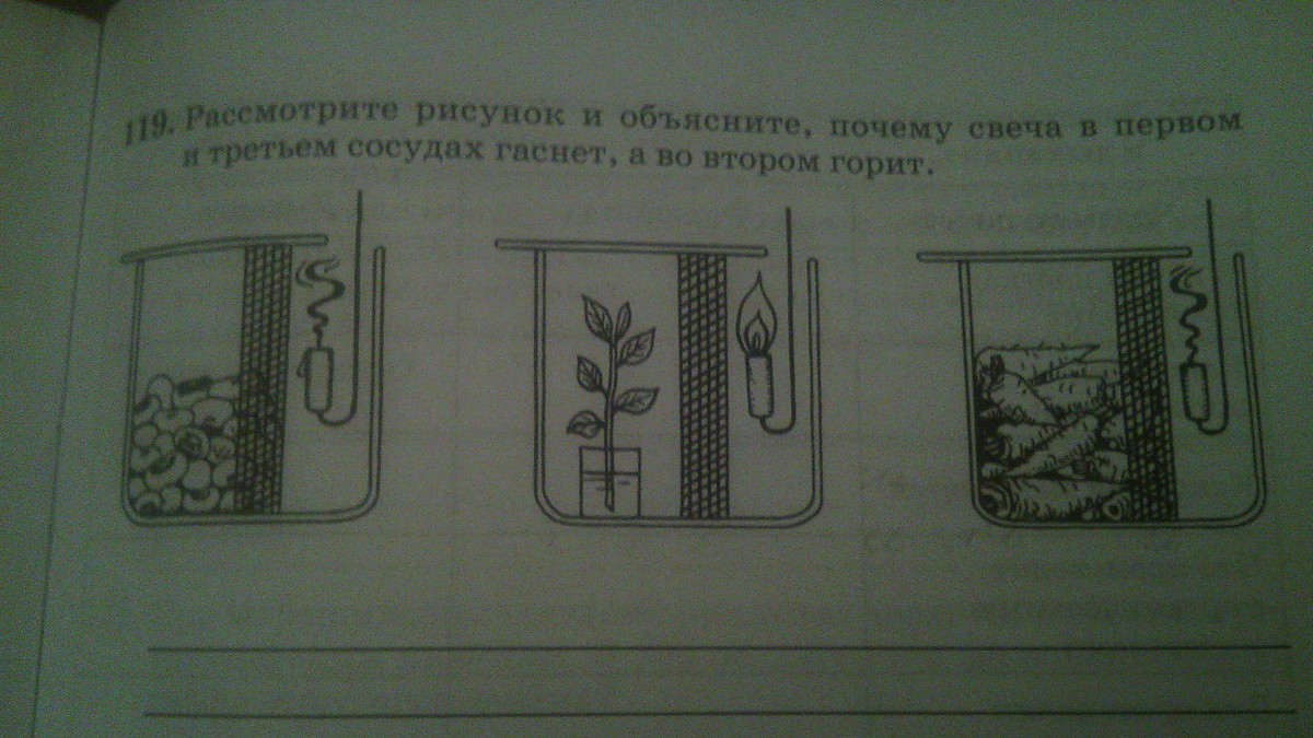 Рассмотрите рисунок и объясните