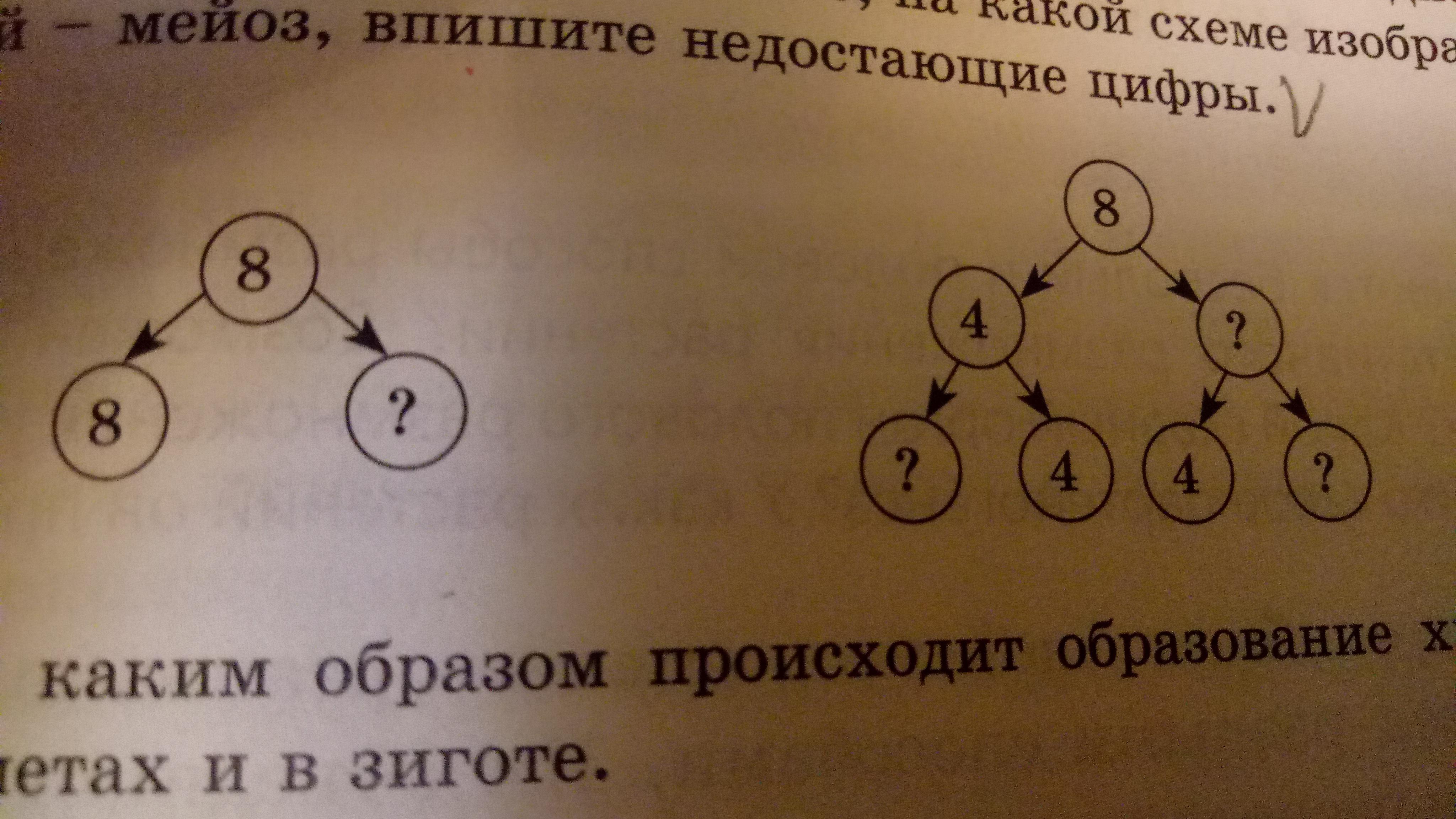 Рассмотри схемы в каких случаях произойдет