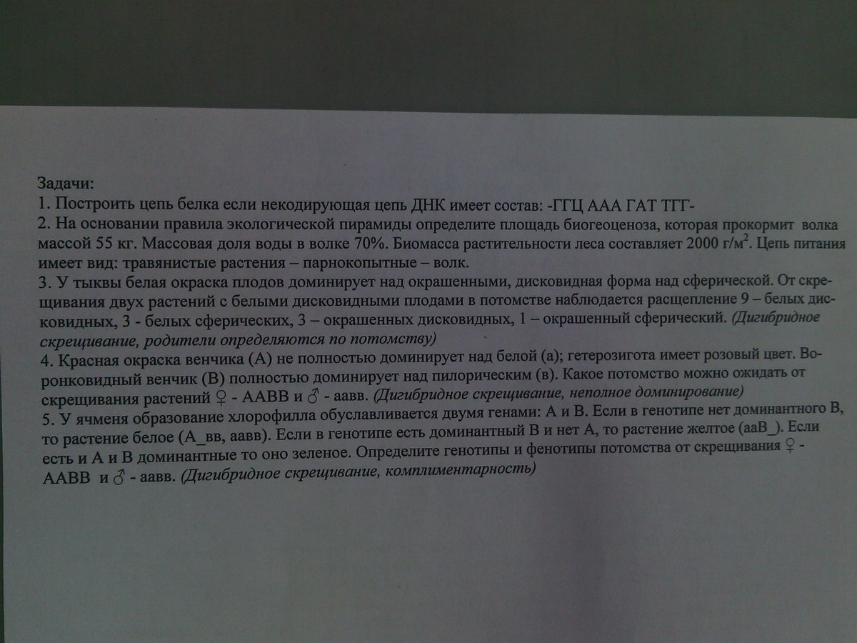 У тыквы дисковидная форма плода доминирует. У тыквы белая окраска плодов доминирует. У тыквы дисковидная форма плода доминирует над шаровидной. От скрещивания растений тыквы с белыми дисковидными плодами. У тыквы белая окраска доминантный.