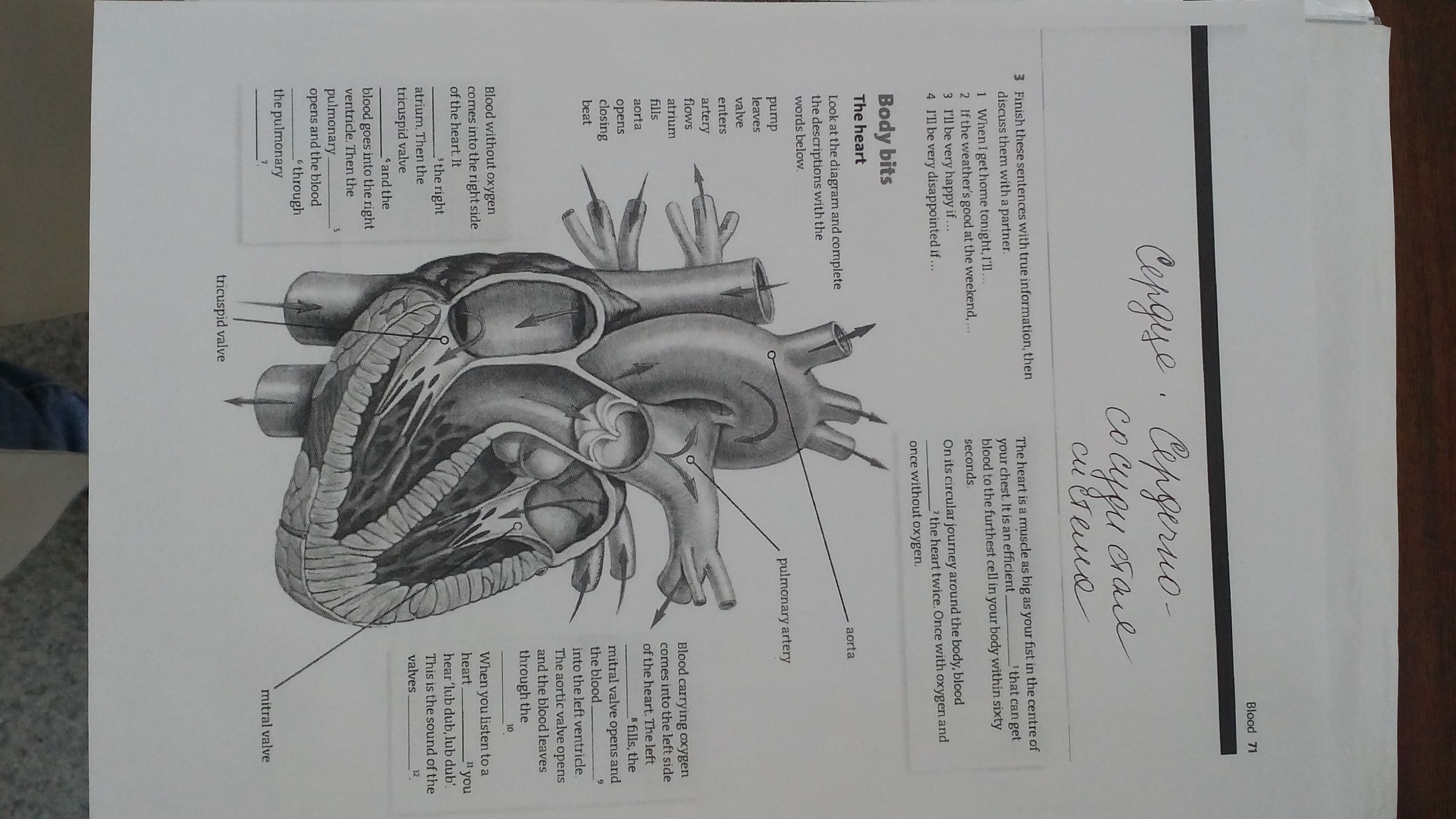 Look at the diagram fill in steam pod seed фото 13