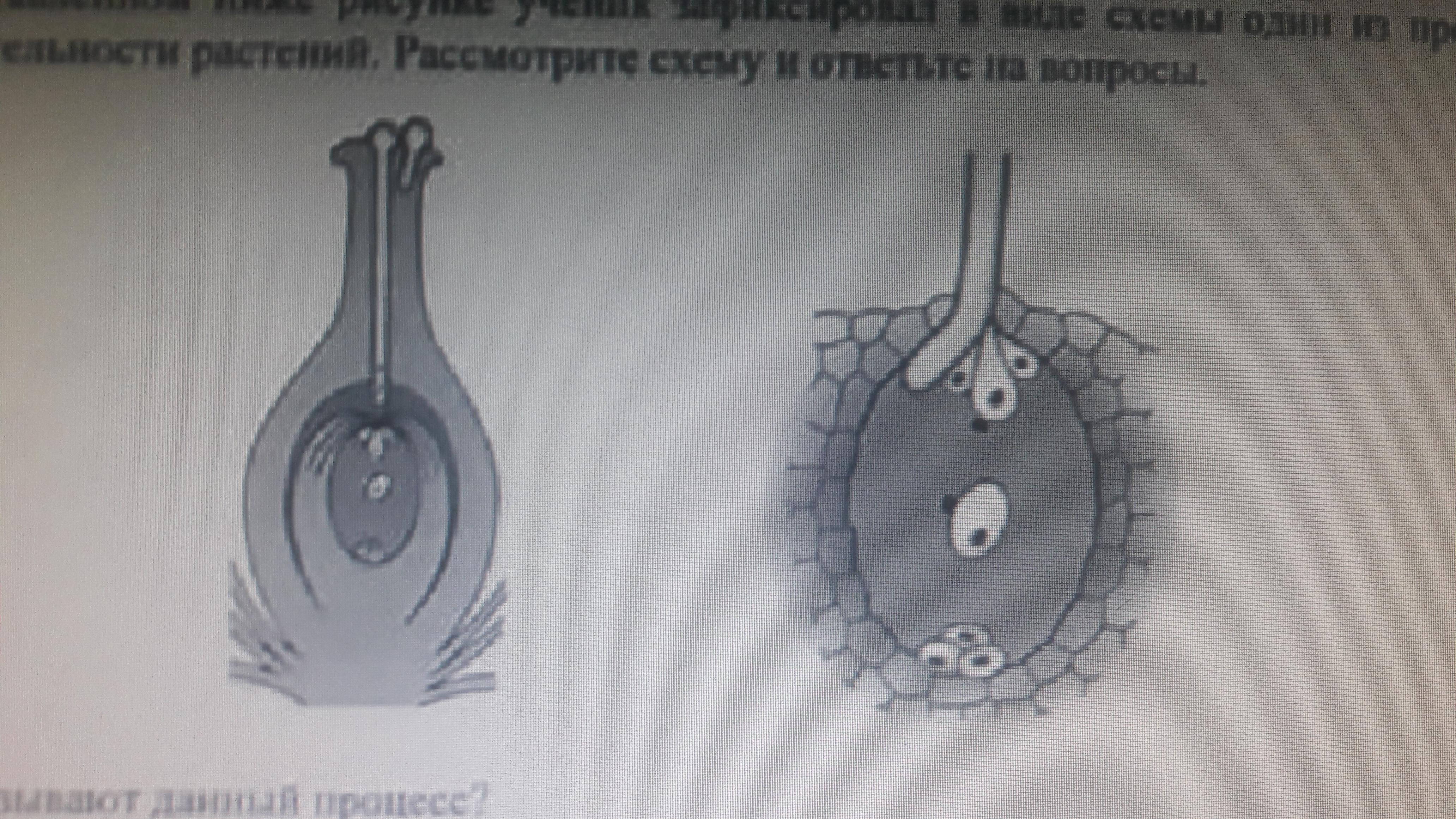 На рисунке представлен в виде. На представленном ниже рисунке ученик. Как называется данный процесс. Один из процессов жизнедеятельности. Как называется данный процесс представленный на рисунке.