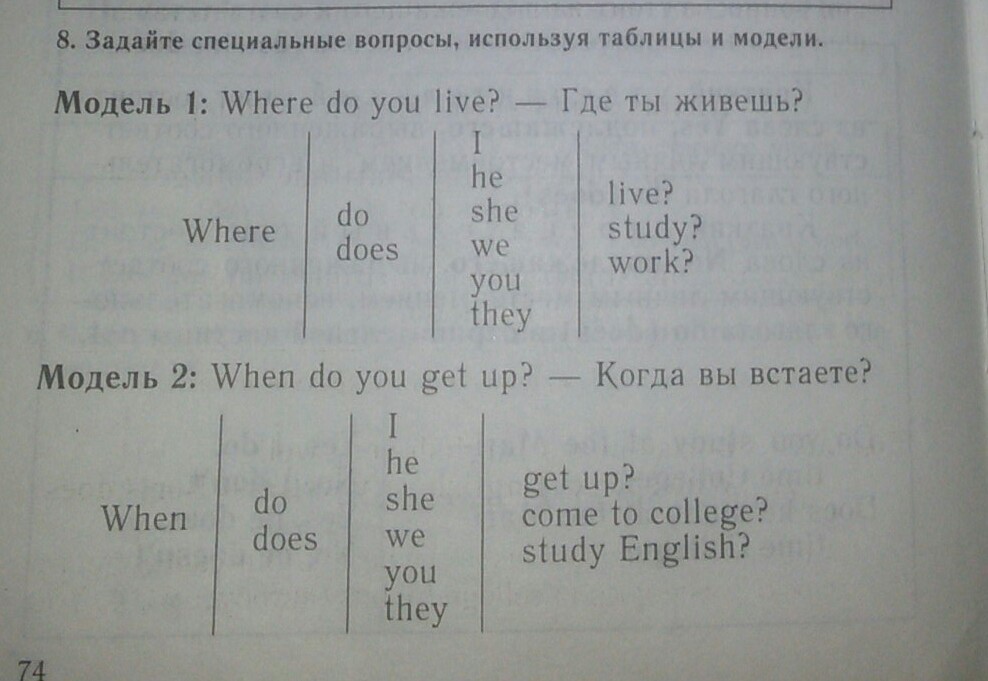 Where do you study