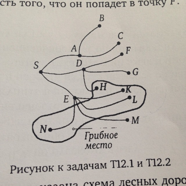 На рисунке показана схема лесных дорожек пешеход идет из точки s