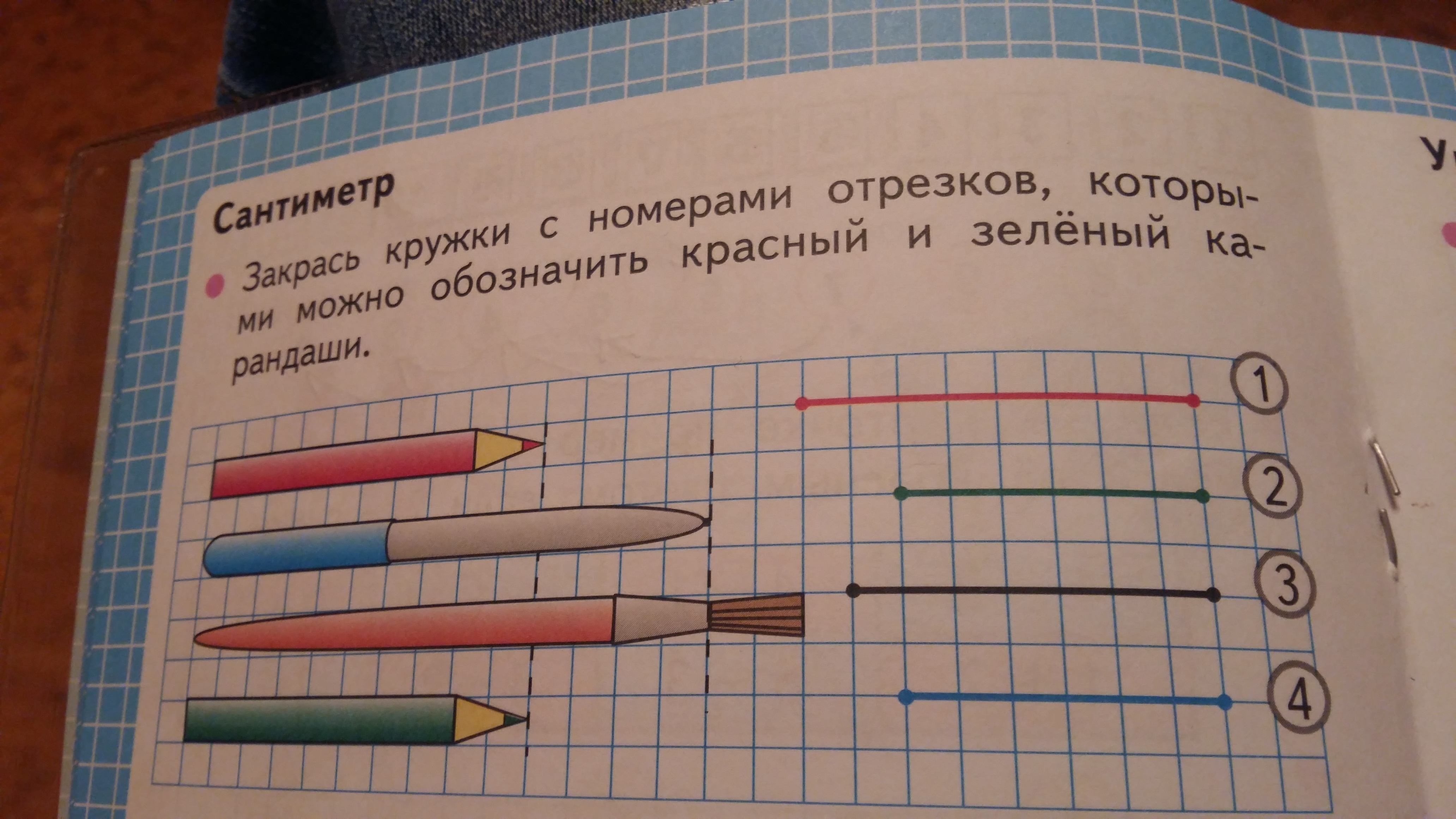 Закрась кружки. Закрась кружки с номерами которыми можно. Закрась кружки с номерами отрезков 1 класс. Закрасить кружки с номерами отрезков.