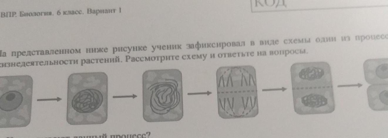 Ученик зафиксировал в виде схемы один из процессов жизнедеятельности растений