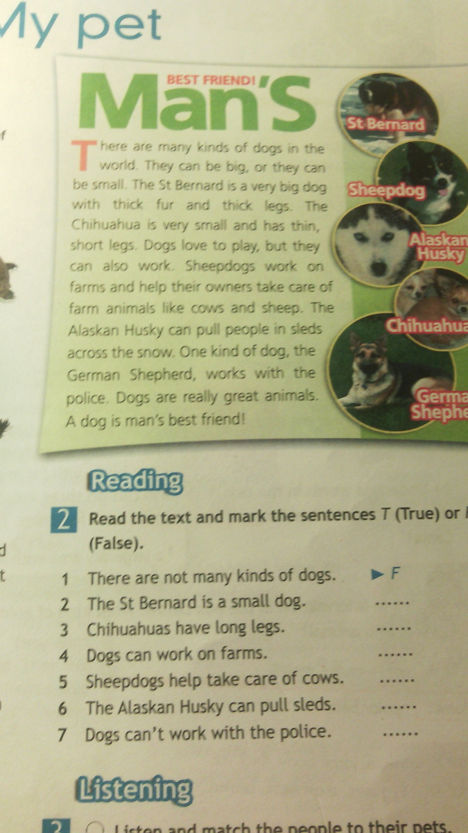 This can t be true. Read the text and Mark the sentences t true of false. Read the text and Mark the sentences 1-8 t (true) or f false 5 класс. Read the text and Mark the sentences t true or f. Read the text and Mark the sentences t true or f false 5 класс Hi Thomas,.