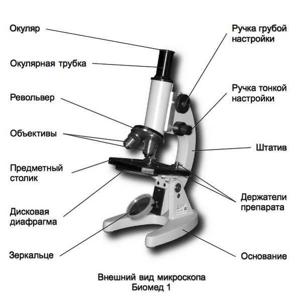 Рисунок микроскопа с подписями всех частей